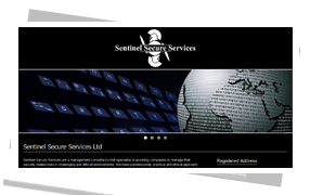 Sentinel Secure Services